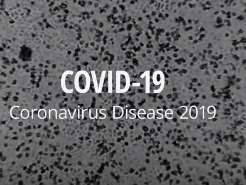 coronavirus 4
