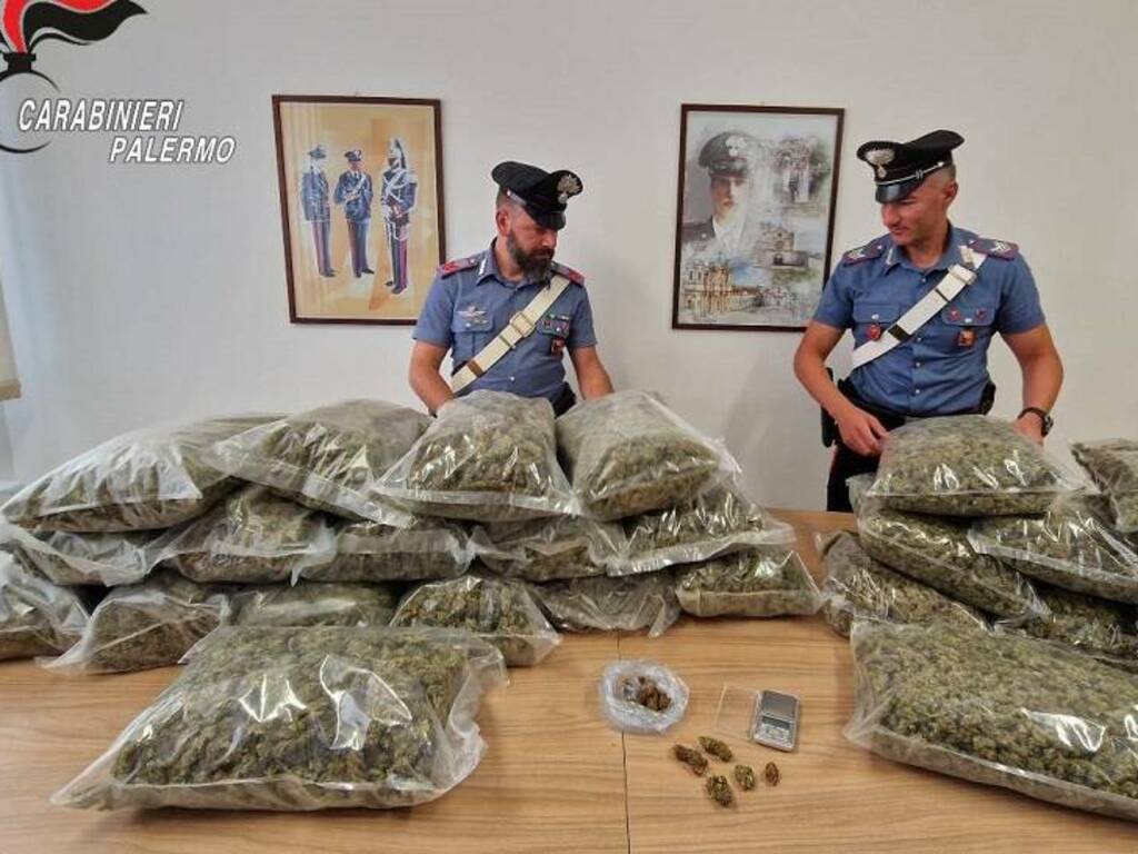 Due arresti a Partinico per droga, trovati 26 chili di roba in casa di due percettori del reddito di cittadinanza 