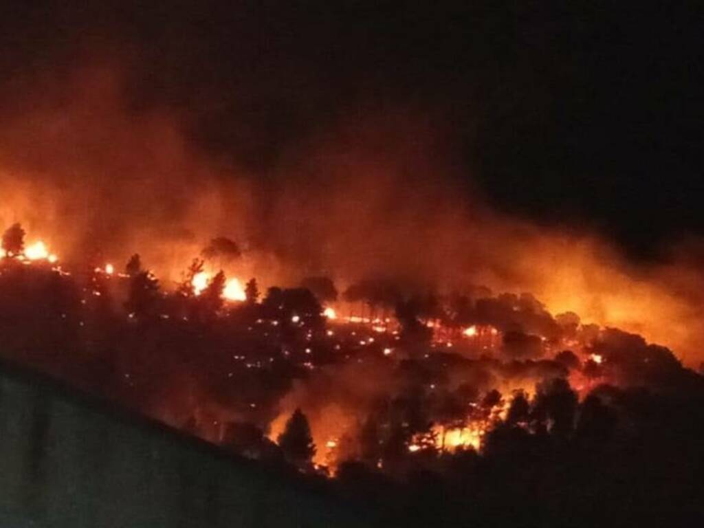 Domato dopo ben 15 ore l’incendio di Monte Inici a Castellammare del Golfo, partito dalla zona del Belvedere