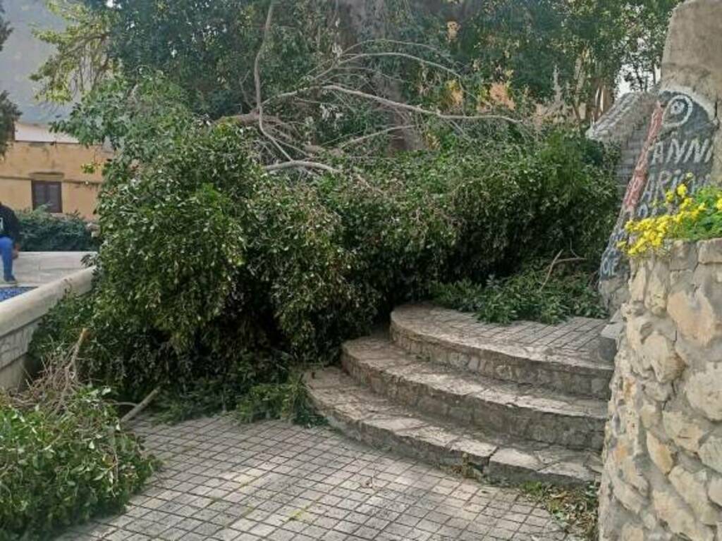 Il vento sradica gli alberi della villa regina Margherita a Castellammare del Golfo, Comune e volontari mettono in sicurezza  