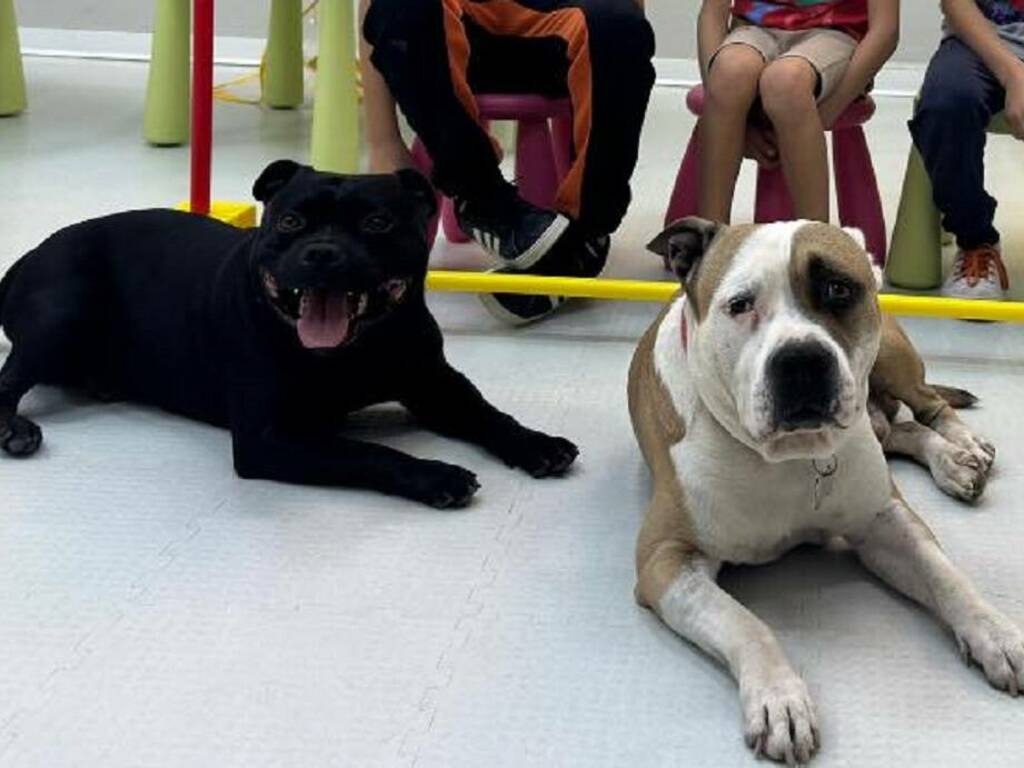 L'Aias di Partinico applicherà la sua pet therapy al reparto di Oncoematologia pediatrica del Civico di Palermo
